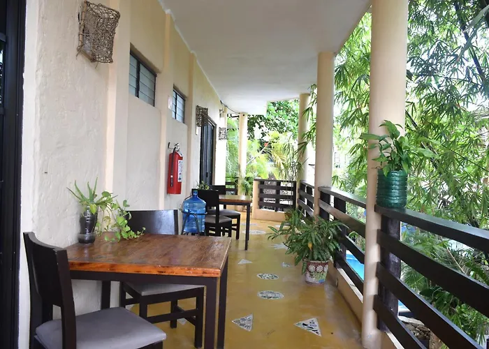 El Moro Puerto Morelos