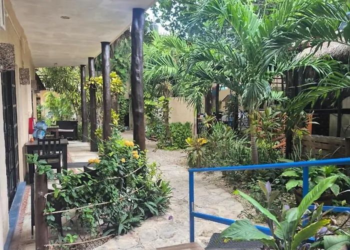 El Moro Puerto Morelos